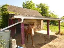 House for sale, 13 rooms, SAINT MARTIN EN BRESSE (71)