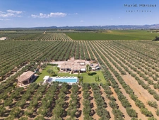 Exceptional property of 290 m2 in the heart of the Vallée des Baux-de-Provence – 25 hectare olive-growing estate for sale 7 rooms MOULES (13)