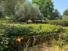 ROGNES (13) Élégante propriété Provençale de 170 m2 avec piscine et garage terrain de 5220 m2  