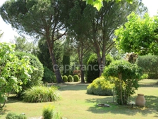 House for sale 293 m2, swimming pool, workshop plot of 7600 m2 LOURMARIN (84)
