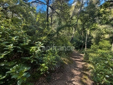 Terrain non constructible de 3060 m2 à vendre  LAURIS (84)