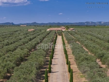 Exceptional property of 290 m2 in the heart of the Vallée des Baux-de-Provence – 25 hectare olive-growing estate for sale 7 rooms MOULES (13)