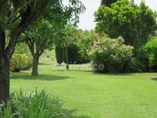 House for sale 293 m2, swimming pool, workshop plot of 7600 m2 LOURMARIN (84)