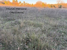 Terrain agricole à vendre 5800 m2 CADENET (84)