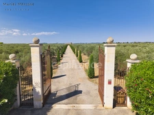 Exceptional property of 290 m2 in the heart of the Vallée des Baux-de-Provence – 25 hectare olive-growing estate for sale 7 rooms MOULES (13)