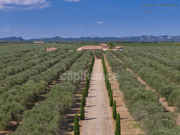Propriété d’exception de 290 m2 au cœur de la Vallée des Baux-de-Provence sur 25 hectares 7 pièces MOULES (13)